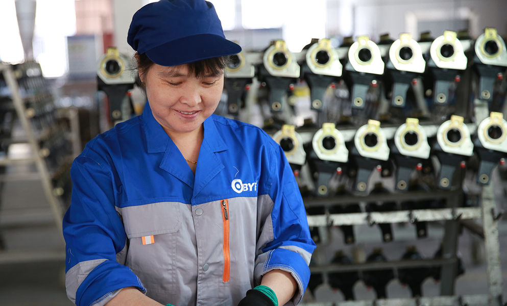 Shenzhen BYF International Limited